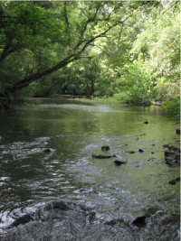 Chester Creek, Delaware County
