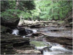 Roaring Run, Armstrong County