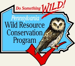PNHP Logo