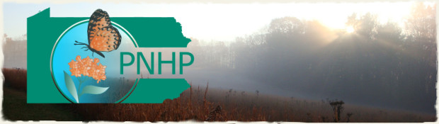 PNHP Logo