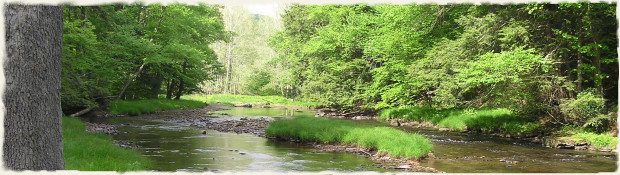 Kettle Creek
