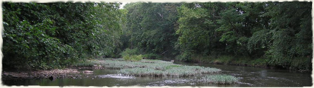 Tonoloway Creek
