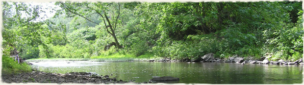 Tuscarora Creek