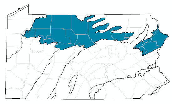 range map