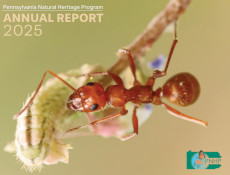 PNHP 2025 Annual Report